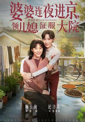 婆婆连夜进京，领儿媳征服大院（78集）短剧全集完整