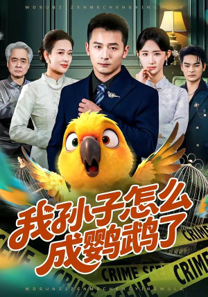 我孙子怎么成鹦鹉了（71集）小短剧抢先看
