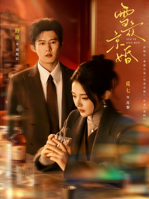 雪夜京婚（84集）第一集