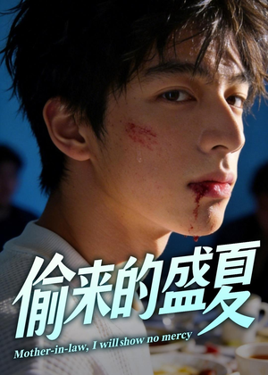 偷来的盛夏（40集）全集