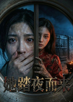 她踏夜而来(40集) 她踏夜而来(40集)每日短剧推荐