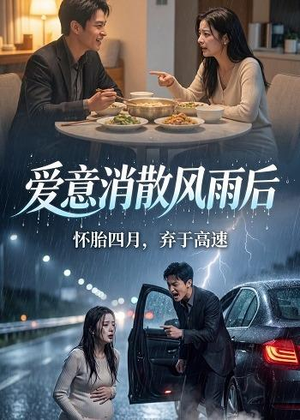 爱意消散风雨后(52集) 爱意消散风雨后(52集)常回家看看短剧