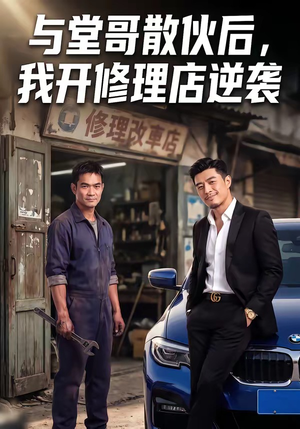 与堂哥散伙后，我开修理店逆袭（40集）全季一次看完
