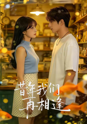昔年我们再相逢（40集）短剧免费观看