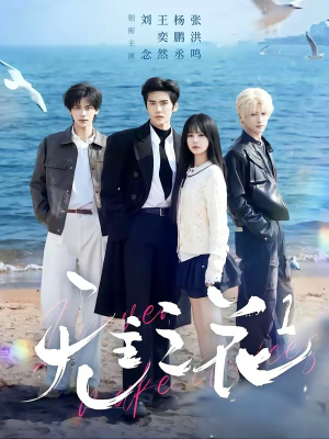 无主之花1(72集) 无主之花1(72集)热播短剧追不停