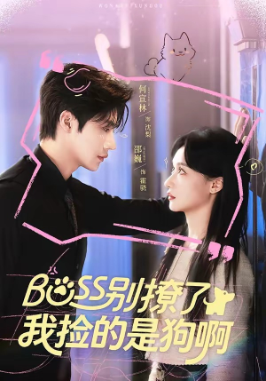 Boss别撩了，我捡的是狗呀（65集）全剧免费观看