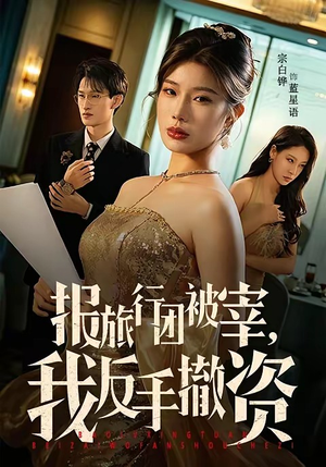 报旅行团被宰,我反手撤资(59集) 报旅行团被宰,我反手撤资(59集)简直不要太好看