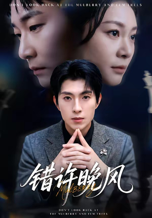 错许晚风(60集) 错许晚风(60集)在线观看全集