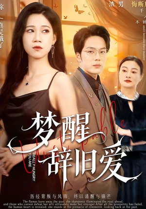 梦醒辞旧爱（55集）独家资源免费看