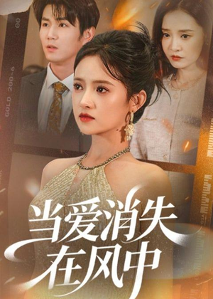 当爱消失在风中（73集）全集在线看