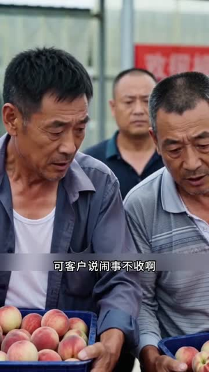嫌我卖桃黑心？我不收后村里急了（30集）红果短剧看全集
