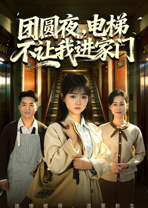 团圆夜,电梯不让我进家门(52集) 团圆夜,电梯不让我进家门(52集)热门短剧追不停