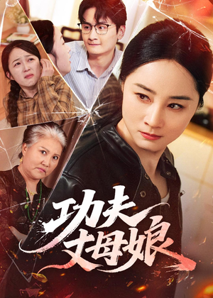 功夫丈母娘（55集）高清无码免费看