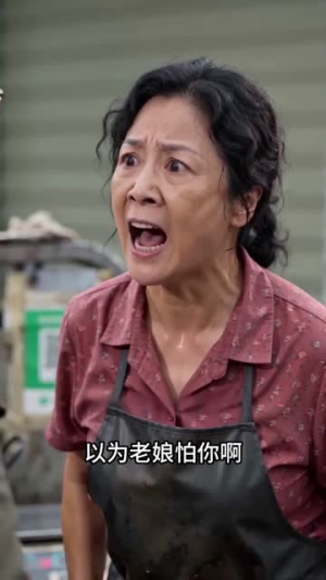 酱牛肉风波（25集）高分推荐免费看