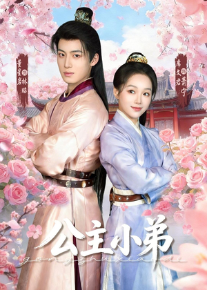 公主小弟（74集）短剧免费看全集