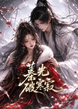 蓁光破寒寂（17集）免费版