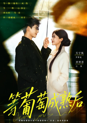 等葡萄成熟后(82集) 等葡萄成熟后(82集)精彩短剧热播中