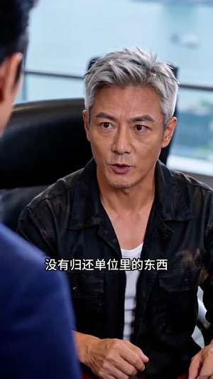 龙隐十八年（88集）短剧在哪个平台