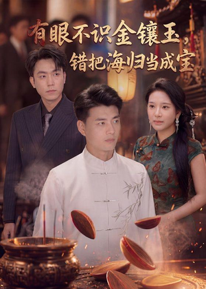有眼不识金镶玉错把海归当成宝（80集）无需会员免费看