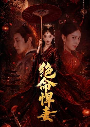 绝命悍妻(72集) 绝命悍妻(72集)演员表