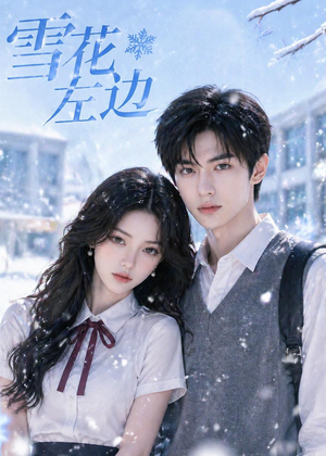 雪花左边（30集）亿万短剧抢先看