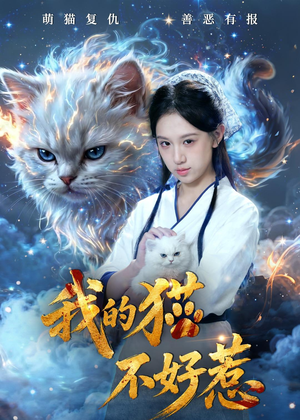 我的猫不好惹（42集）好看上头的短剧