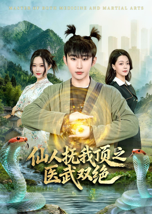 仙人抚我顶之医武双绝（66集）短剧解说热门