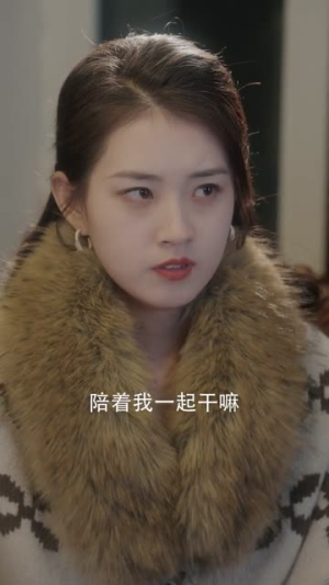 东北爱情往事2（91集）剧情简介