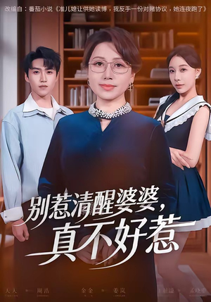 别惹清醒婆婆，真不好惹（80集）在线看到大结局
