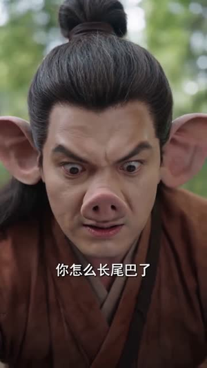 猪八戒娶媳妇（50集）第三季