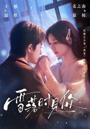 雪落时见你(93集) 雪落时见你(93集)高清无码免费看