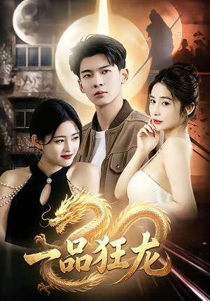一品狂龙（68集）看到大结局