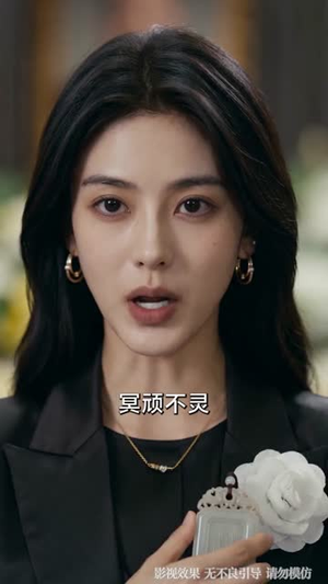 父亲葬礼当天，我在高铁叫停弟弟婚事（59集）UC网盘在线看