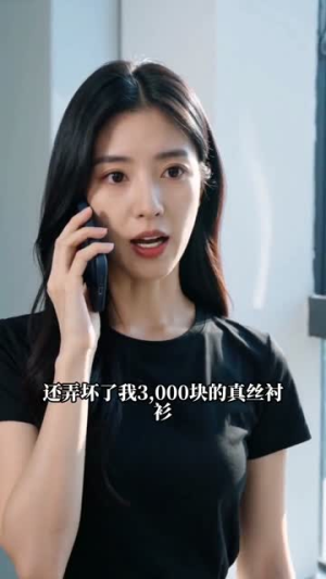 静静无声的反击（54集）免费观看就是爽
