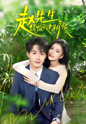 赵先生结婚证过期不候（50集）看到大结局