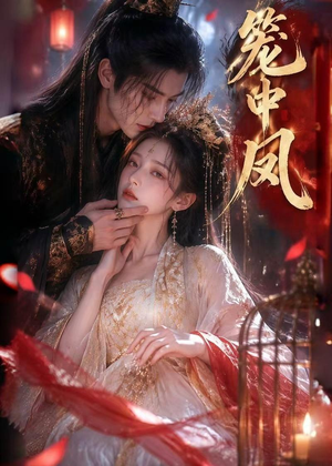笼中凤（44集）免费看全集