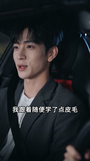 隐龙医圣（67集）短剧小说在线看