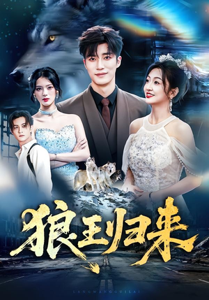 狼王归来（51集）短剧抢先看