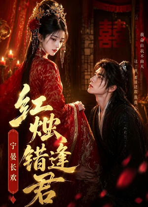 红烛错逢君,宁宴长欢(51集) 红烛错逢君,宁宴长欢(51集)演的怎么样