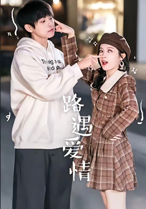 路遇爱情（12集）口碑爆棚免费看