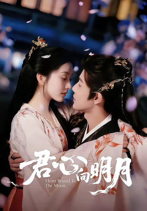 君心向明月（60集）短剧全集完整版