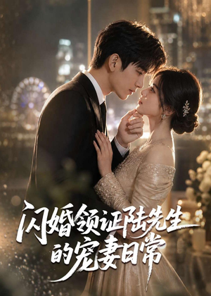 闪婚领证陆先生的宠妻日常(72集) 闪婚领证陆先生的宠妻日常(72集)全集都在这里了